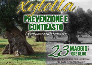 xylella-seminario-informativo-a-cura-delluci-a-noci