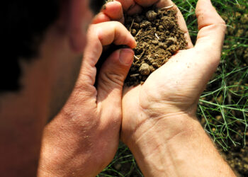 giornata-mondiale-del-suolo-in-europa-lerosione-costa-12-miliardi--perdita-di-prodotti-agricoli