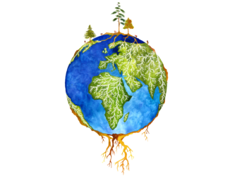 la-prima-mappa-globale-delle-simbiosi-nelle-foreste