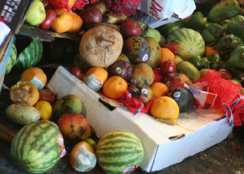 expo-milano-contro-lo-spreco-di-cibo