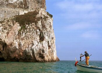 l-mar-mediterraneo-muore-di-caldo
