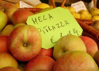 frutti-dimenticati-a-casola-valsenio