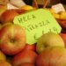 frutti-dimenticati-a-casola-valsenio