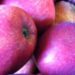 val-di-non-produzione-di-mele-a-rischio-per-via-della-grandine