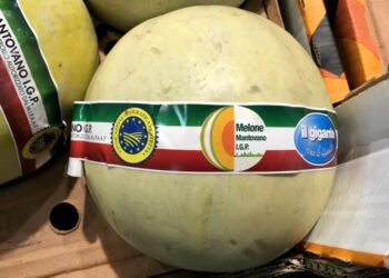 melone-mantovano-igp-annata-molto-soddisfacente