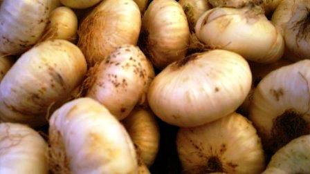 A giugno mercati agricoli più "riflessivi"