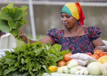 lifad-pronto-a-sostenere-i-migranti-nelle-arre-rurali