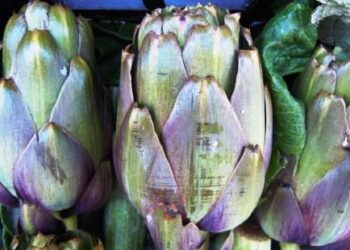 alimentazione-sempre-piu-seguito-il-modello-vegan