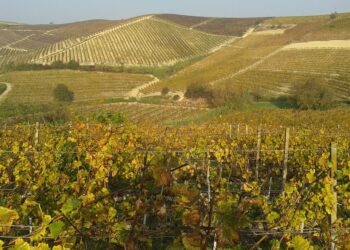 nuove-mete-del-turismo-in-italia-il-monferrato