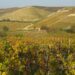 nuove-mete-del-turismo-in-italia-il-monferrato