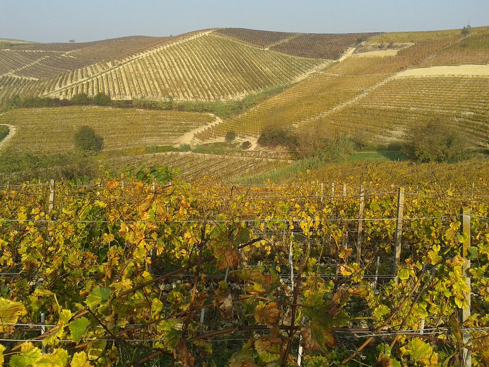 nuove-mete-del-turismo-in-italia-il-monferrato