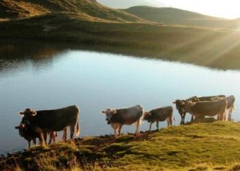 alpi-senza-neve-stazioni-senza-turisti