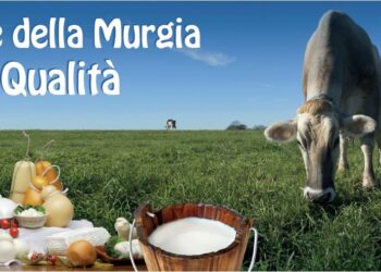 murgia-premiata-la-cooperativa-parco-murgia-latte