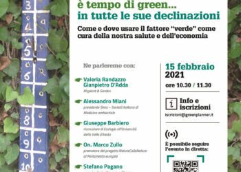 dibattito-le-soluzioni-per-abbattere-linquinamento