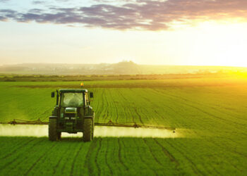 neonicotinoidi-respinti-i-ricorsi