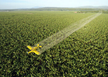 salute-ancora-neonicotinoidi-sotto-accusa