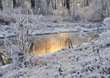 alpi-arrivano-le-nevicate