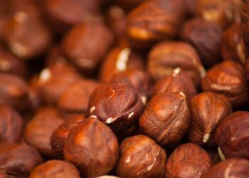 nocciola-filiera-di-qualita-ma-in-difficolta