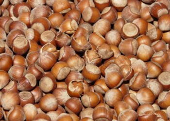 nocciola-il-mipaaf-pronto-ad-aprire-il-tavolo-di-filiera