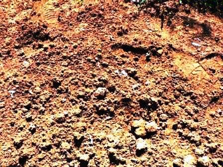 concorso-fotografico-“obiettivo-agricoltura”