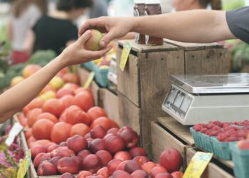 stato---regioni-decisioni-in-favore-delle-op