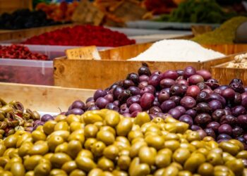 op-olivicole-le-nuove-disposizioni
