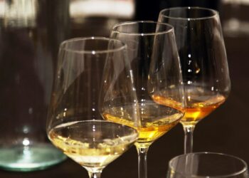 orange-wine-un-evento-per-gustare-i-vini-bianchi-fatti-come-i-rossi