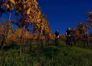 in-bicicletta-alla-scoperta-della-laguna-di-orbetello