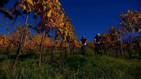 in-bicicletta-alla-scoperta-della-laguna-di-orbetello