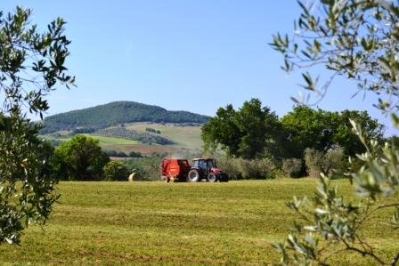 ue-lantitrust-vara-orientamenti-in-favore-dei-produttori-agricoli