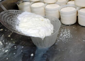 latte-fresco-origine-in-etichetta-sempre-piu-probabile