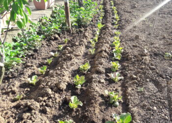 pac-2021-2027-litalia-rischia-di-perdere-fondi