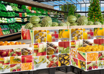 packaging-ortofrutticolo-strumento-di-marketing