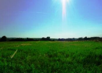 italia-nostra-e-agronomi-protocollo-per-la-valorizzazione-del-paesaggio