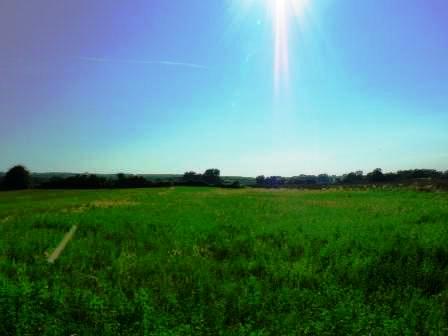 italia-nostra-e-agronomi-protocollo-per-la-valorizzazione-del-paesaggio