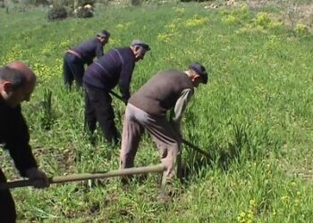 pac-obbligo-di-pubblicazione-dei-beneficiari-dei-pagamenti