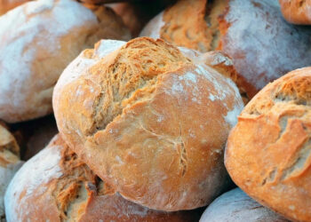Pane