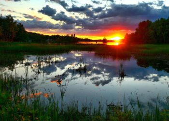 roma-capitale-della-scienza-per-la-notte-europea-dei-ricercatori-e-delle-ricercatrici-2022
