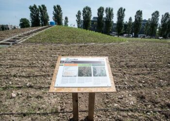 lafrica-e-la-tecnologia-sfida-alla-denutrizione-al-parco-di-lodi