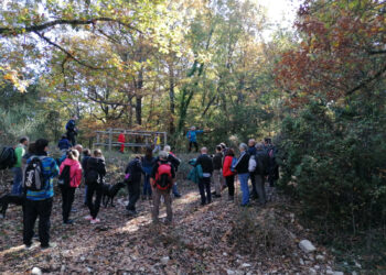 giornata-nazionale-delle-miniere--esplorazione-nelle-miniere-della-valnerina