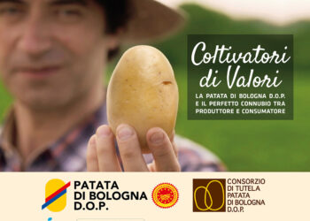 patata-di-bologna-dop-progetto-di-tracciabilita