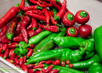 rieti-cuore-piccante-a-fine-agosto