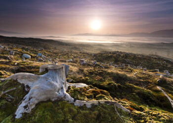 biodiversita-in-pericolo-ecosistemi-a-rischio