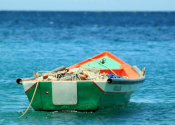pesca-adottati-regolamenti-per-il-2022