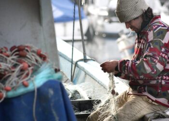 il-consiglio-ue-approva-le-opportunita-di-pesca-2023-in-acque-intra-ed-extra-comunitarie