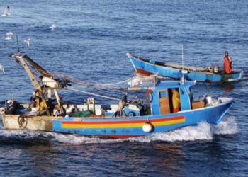 pesca-iniziativa-di-cooperazione-italia-tunisia