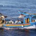 pesca-iniziativa-di-cooperazione-italia-tunisia