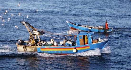 pesca-iniziativa-di-cooperazione-italia-tunisia