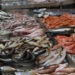 pesca-mondiale-lallarme-del-rapporto-fao