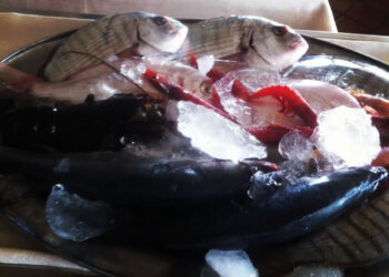 Nasce il marchio del pesce italiano